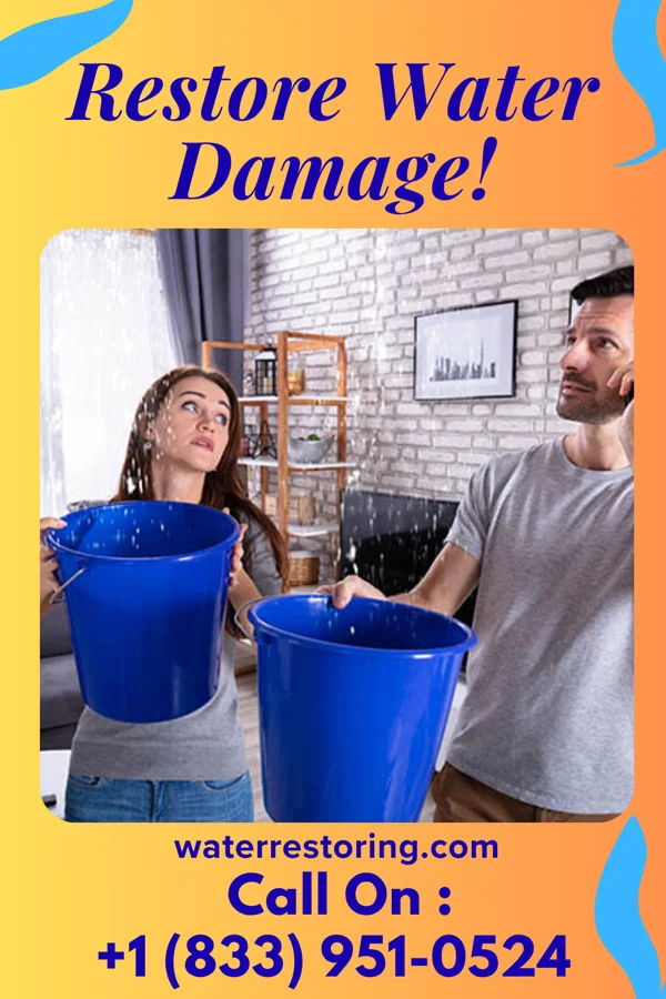 water restoration Advanced Water Removal Specialists State Line